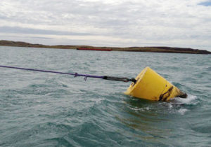 Buoy mooring line